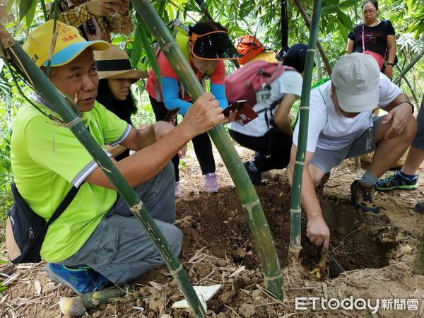 ▲新北暑期在地農遊體驗開跑 首檔田間廚房採筍即起報名。（圖／新北市農業局提供）