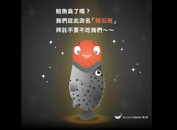 ▲農委會主委呼籲少吃鮭魚救石斑　挪威業者詼諧回應：改名「類石斑」。（圖／美威鮭魚提供）