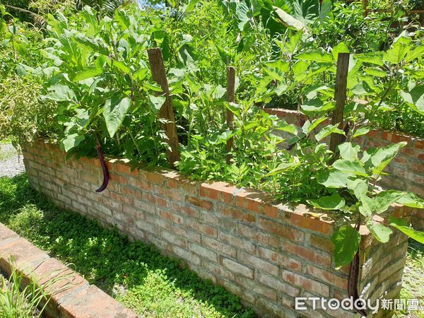 ▲碧雲莊社區裡的「毛小孩便便塔」。（圖／慈濟大學提供，下同）