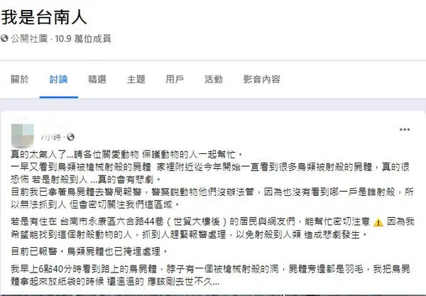 ▲有網友在臉書社群PO文指出，台南市永康區六合路，今年以來常發現有人以槍械殺野鳥，10日一早又發現有野鳥被槍殺死亡，若是射到人，真的會發生悲劇。（圖／翻攝自我是台南人臉書，下同）