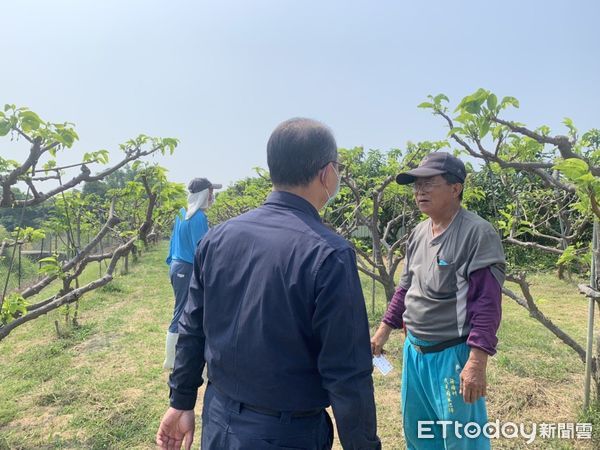 ▲台南歸仁在地「大目仔」品種釋迦，品質優良，遠近馳名，深受饕客們喜愛，台南市警歸仁分局更規劃加強護果專案。（圖／記者林悅翻攝，下同）