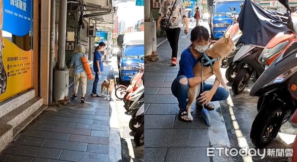 ▲▼聞到熟悉味道想逃　柴柴回家變「哀怨燈罩」不理人：就說不要進去。（圖／網友Yi Ting Wu授權提供）