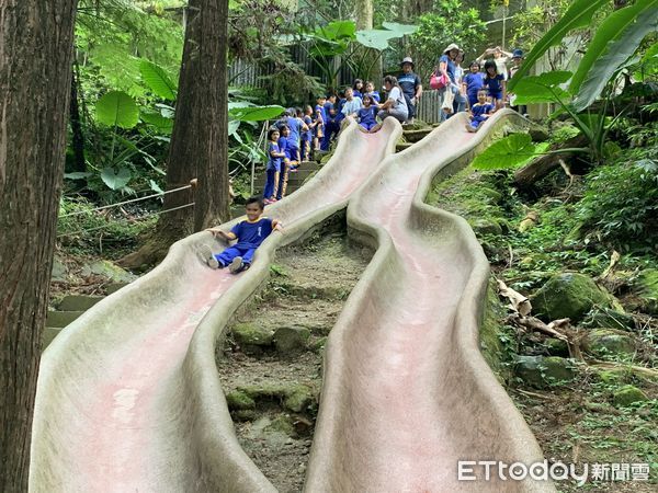 ▲鳳凰谷鳥園7月16日起推出生態探索活動「2022暑期生態探索遊園體驗」。（圖／鳳凰谷鳥園生態園區提供）