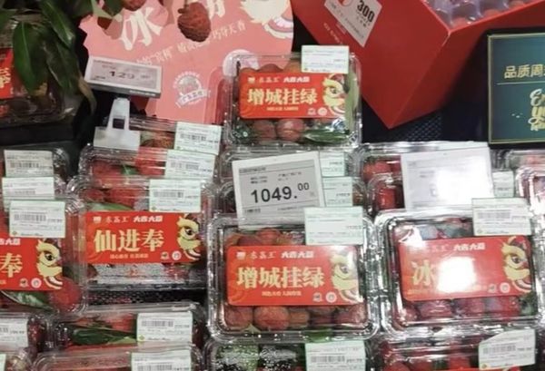 ▲北京超市上架的珍稀荔枝品種「增城掛綠」。（圖／翻攝極目新聞）