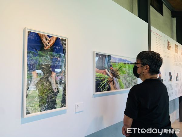 ▲▼「池上藝術村」自2015年起陸續邀請各地藝術家駐村，如今在池上穀倉藝術館舉行《寄情與召喚－池上藝術村駐村藝術家聯展》。（圖／記者林育綾攝）