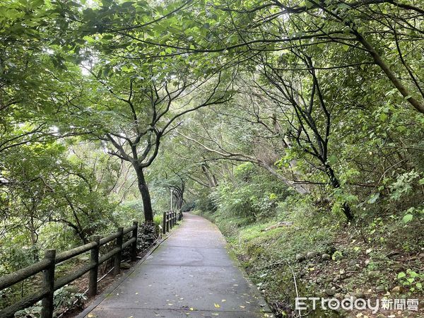 ▲新北五股「水碓公園」城市覓徑 隱藏在後山綠色秘密基地。（圖／新北市景觀處提供）