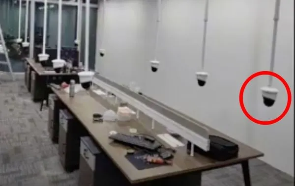 ▲▼             。（圖／翻攝西瓜視頻）