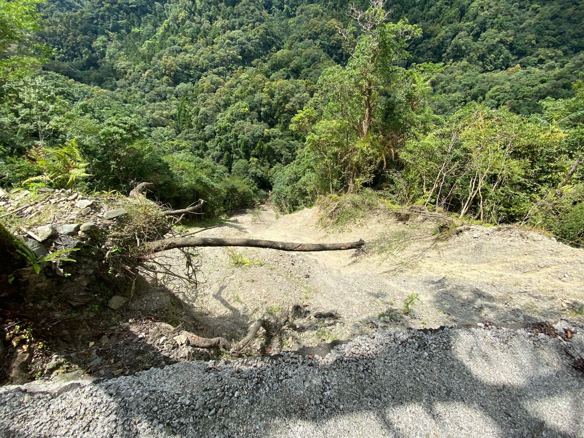 ▲▼去年颱風聯外道路崩塌「僅單線通行」！　福山植物園8／16起封園5個月。（圖／林業試驗所提供）