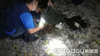 潛水燈深夜洩行藏！2男富山保育區遭逮　32隻龍蝦海魚險上餐桌