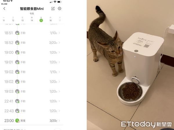 ▲自動餵食器「狂跳笑臉通知」　驚見小肥貓神破解！乾乾變buffet吃到飽。（圖／網友Kenken 提供，請勿隨意翻拍，以免侵權。）