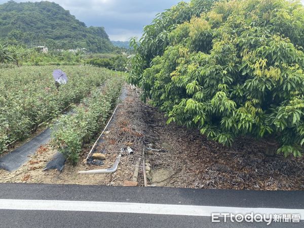 ▲▼             。（圖／記者白珈陽攝）