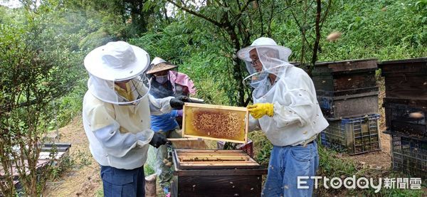 ▲新北平溪農會「春蜜」上市 夏日必備養顏消暑聖品。（圖／新北市農業局提供）