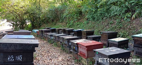 ▲新北平溪農會「春蜜」上市 夏日必備養顏消暑聖品。（圖／新北市農業局提供）