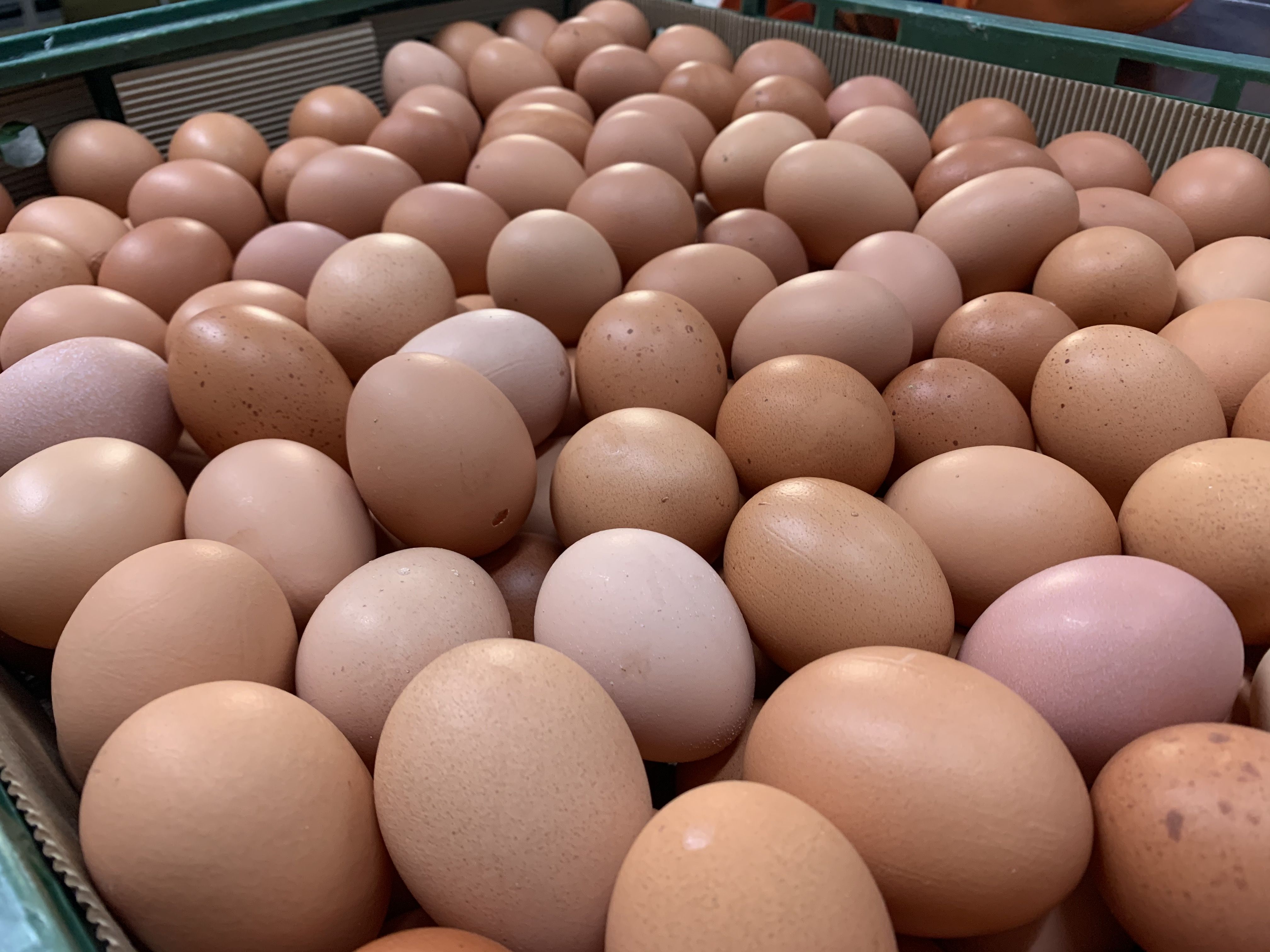 ▲蛋價再漲，農委會主委陳吉仲今日受訪表示，雞蛋價格是市場機制在決定的。（圖／記者蔡佩旻翻攝）