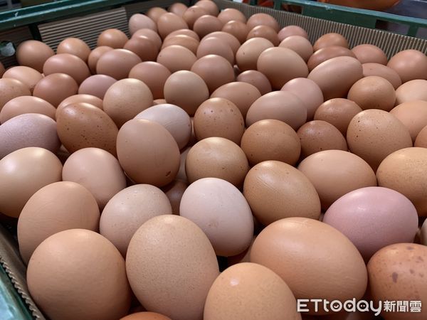 [討論] 農委會無能 蛋價高 藉口一堆 不會做事