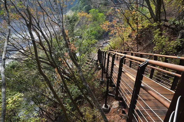 ▲桃園復興區拉拉山。（圖／翻攝自桃園風管處網站）