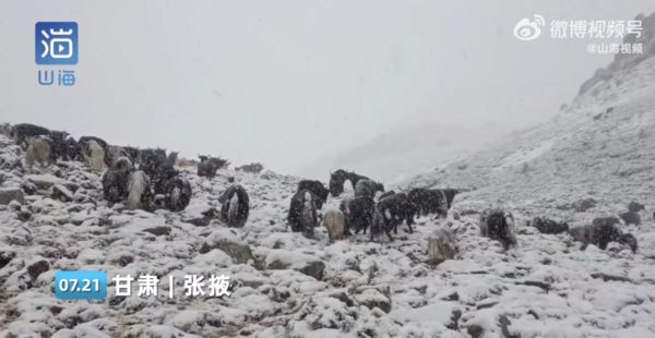 ▲青海甘肅祁連山脈飄起七月大雪。（圖／翻攝微博）