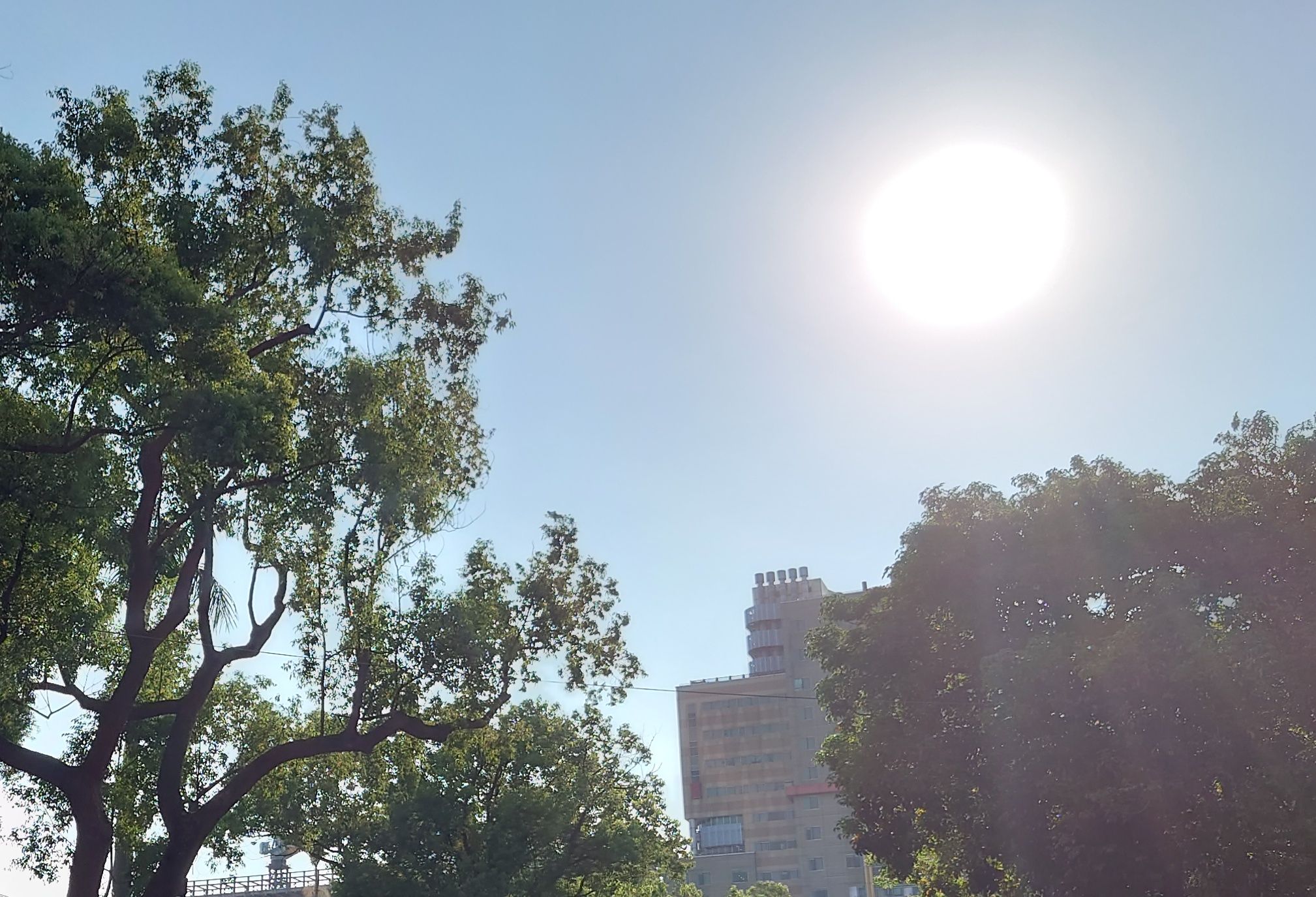 ▲▼天氣 高溫 烈日 大暑 炎熱 高溫破記錄。（圖／記者屠惠剛攝）