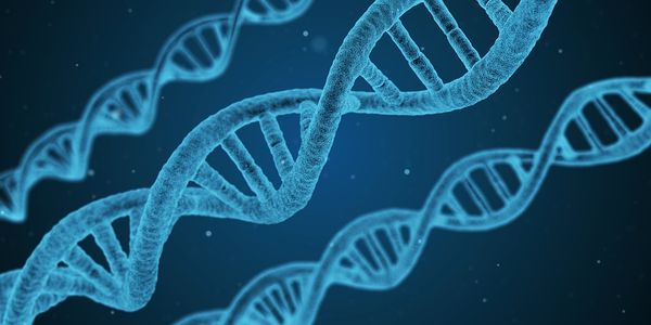 ▲▼Dostarlimab用於治療癌細胞DNA修復功能發生缺損的病患特別有效。（圖／載自pixabay）