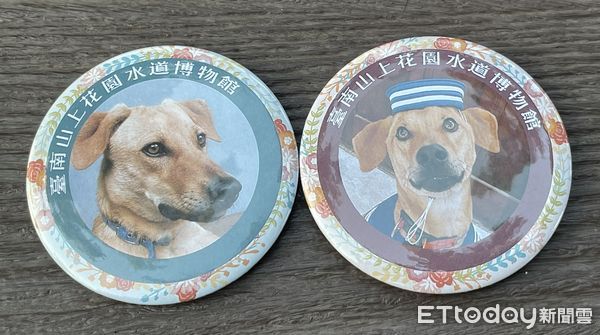 ▲台南山上花園水道博物館人氣館犬「園長」也趕搭風潮，穿起量身打造的道士服，化身「狗道士」和粉絲見面。（圖／記者林悅翻攝，下同）