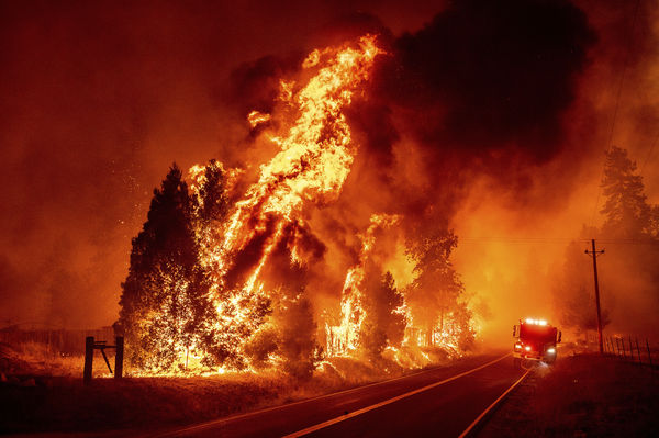 ▲▼ 美國加州優勝美地橡樹大火迅速蔓延。（圖／達志影像／美聯社）