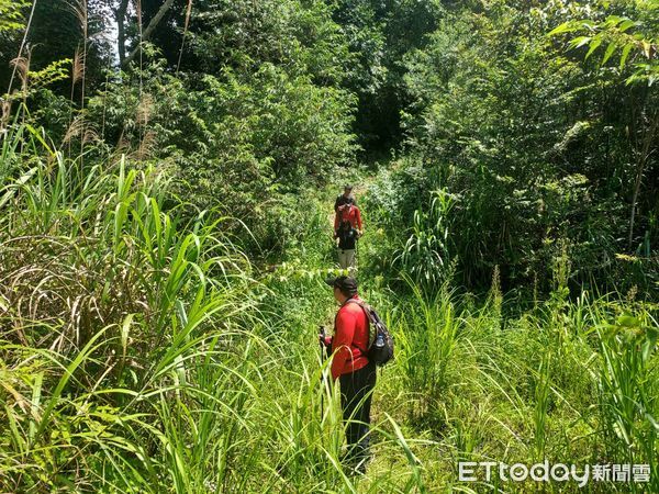 ▲同一地點連兩起，２女登谷關七雄唐麻丹山迷路＋受傷　搜救人員疲於奔命。（圖／記者哈勇嘎奧攝）