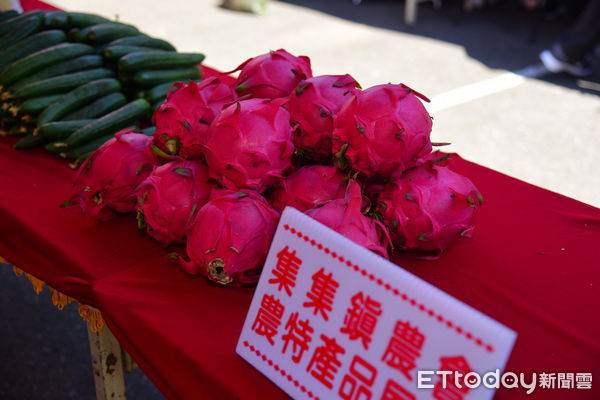 ▲集集鎮紅龍果、香蕉正值盛產季節。（圖／南投縣政府提供，下同）