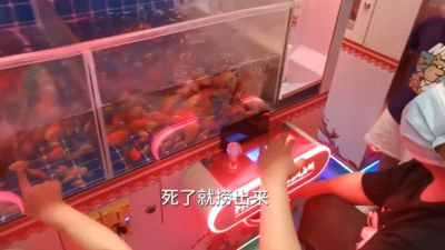 中國出現「活體動物」娃娃機！店家坦言：死了就丟掉　意外引爆兩派人戰翻