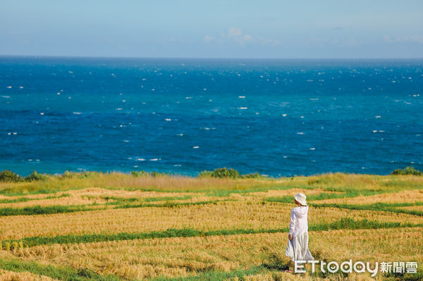 ▲▼新社梯田，太平洋，東海岸，花蓮旅遊，海景，看海。（圖／記者蔡玟君攝）