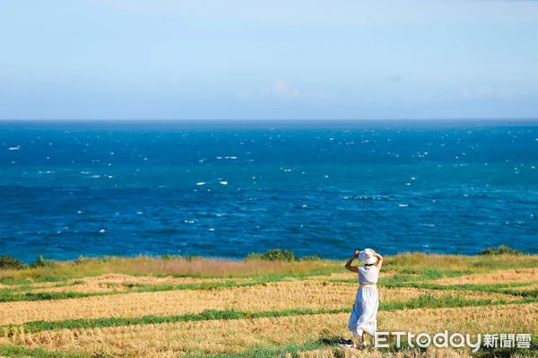 ▲▼新社梯田，太平洋，東海岸，花蓮旅遊，海景，看海。（圖／記者蔡玟君攝）