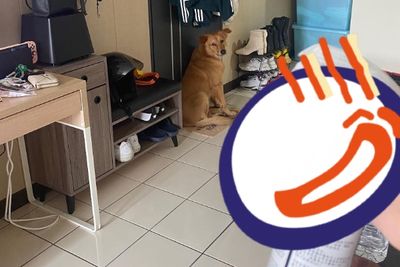 汪見媽「手拿1物」嚇爆秒躲門邊! 她尷尬澄清:我只是想打掃