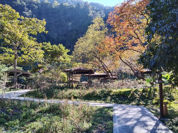 ▲▼台中男子獨攀八仙山步道失聯，警消人員上山搜救中。（圖／八仙山粉絲專頁）