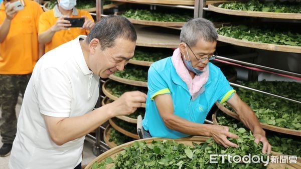 ▲雙北製茶技術競賽！馬拉松式比拚真功夫 侯友宜夜訪新北茶師。（圖／新北市農業局提供）