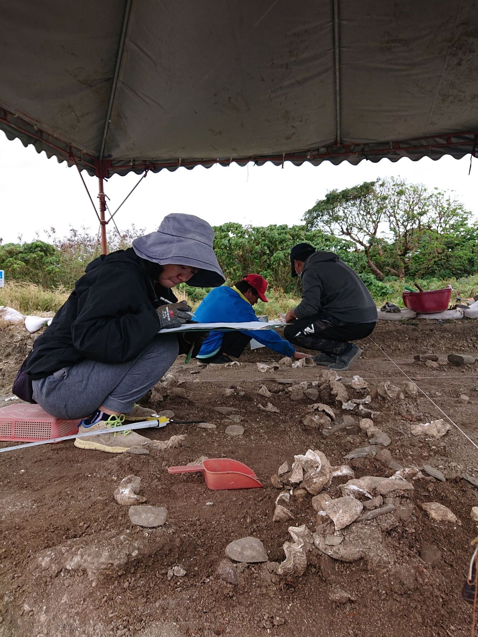 ▲▼鵝鑾鼻公園考古，清大研究團隊挖出約4000年前文資。（圖／翻攝清華大學臉書）