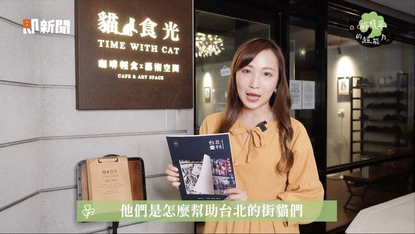 ▲貓中途,台北畫刊,貓食光,街貓友善照顧行動方案。（圖／翻攝自影片）