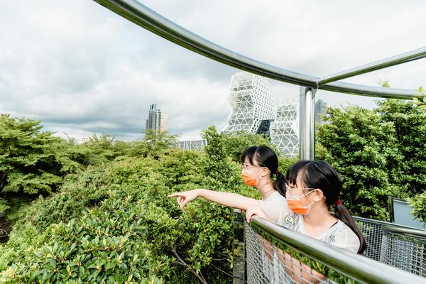 ▲▼駁二「大樹宇宙-愛河森林慢板」360度環景裝置開放。（圖／高雄市政府文化局）