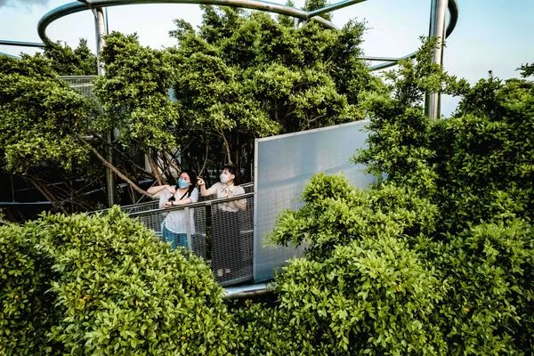 ▲▼駁二「大樹宇宙-愛河森林慢板」360度環景裝置開放。（圖／高雄市政府文化局）