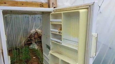 廢棄冰箱門「改造成溫室出入口」　網讚生活智慧王：產地新鮮直送
