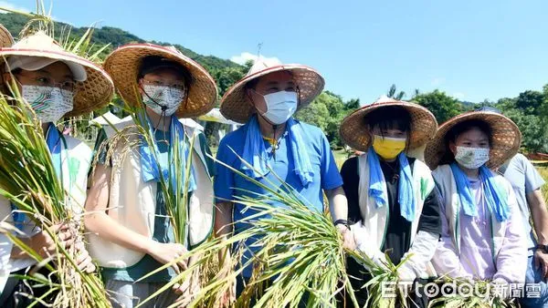 ▲汐止農會休閒中心體驗割稻 侯友宜表揚傑出貢獻農民。（圖／新北市農業局提供）