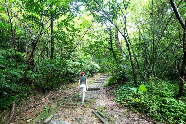 ▲「夏日正潮」最清涼山海旅行 《魅力基隆》夏季號嶄新出刊。（圖／基隆市政府提供）