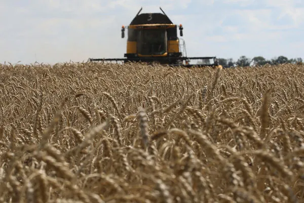 ▲▼烏克蘭糧食，烏克蘭哈爾科夫地區在俄羅斯對烏克蘭持續的襲擊中，收割小麥。（圖／路透）