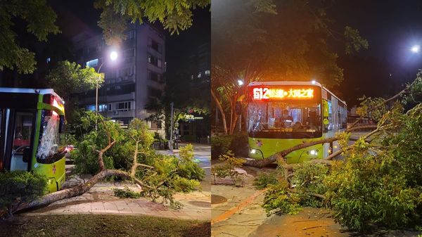 ▲▼天母一輛公車自撞路樹。（圖／記者游宗樺翻攝）