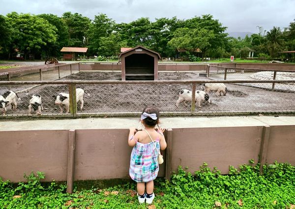 ▲▼Hold住姐3歲女兒自剪頭髮。（圖／翻攝自Facebook／LINLIN）