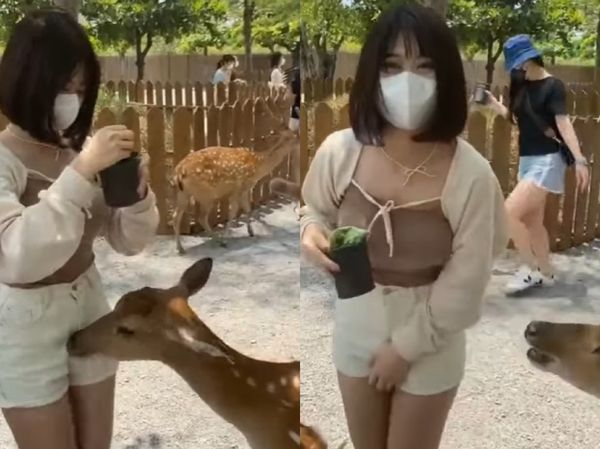 ▲▼             。（圖／翻攝自Facebook／爆廢公社公開版）