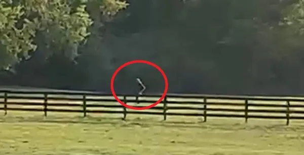 ▲美國農場疑似出現大腳怪。（圖／翻攝自臉書社團「Bigfoot Believers」）