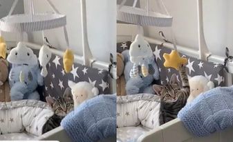 喜迎新生命!她進嬰兒房驚見「多1隻寶寶」玩瘋:人家也是小北鼻