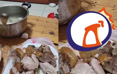 鬼門開桌底竄「毛茸茸怪手」偷肉 真面目曝光網歪樓:果然7月了
