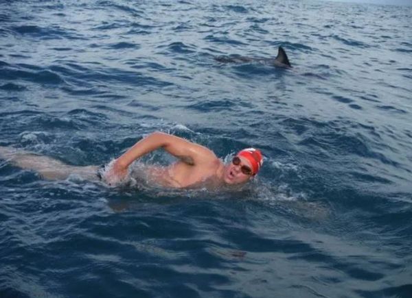 ▲▼英國游泳選手亞當沃克（Adam Walker）2014年在紐西蘭海域碰上鯊魚追擊，一群海豚突然現身圍繞，在他身邊築起一道保護牆。（圖／翻攝自YouTube／Adam Ocean Walker）