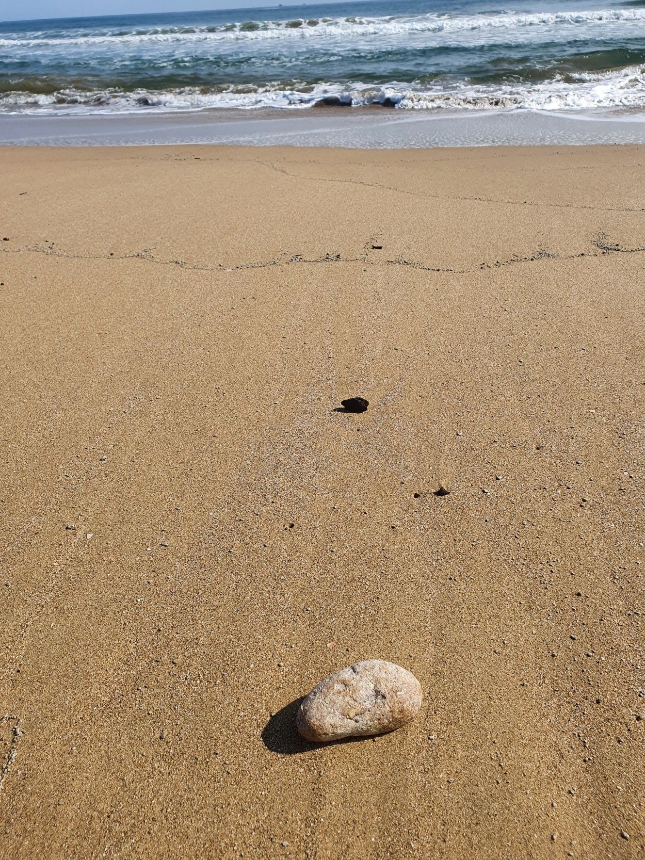 ▲▼柯先生常帶妻小參與海灘活動，今年2月底淨灘時發現順著浪潮沖刷上岸的龍涎香。（圖／柯先生提供）
