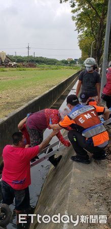 ▲台南市消防局下營分隊據報派員架梯及時將跌落大排內的80歲婦人救起，避免憾事發生。（圖／民眾提供，下同）